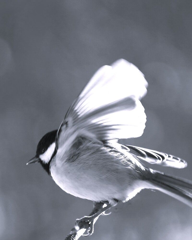 Photograph by Затямин Александр