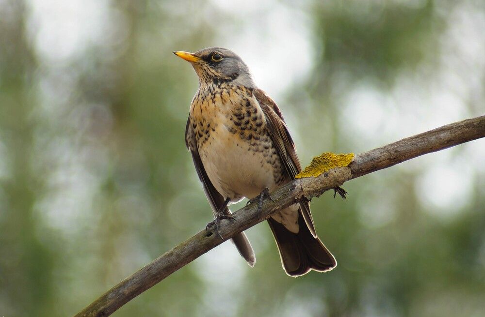 Photograph by Наталья Екимова