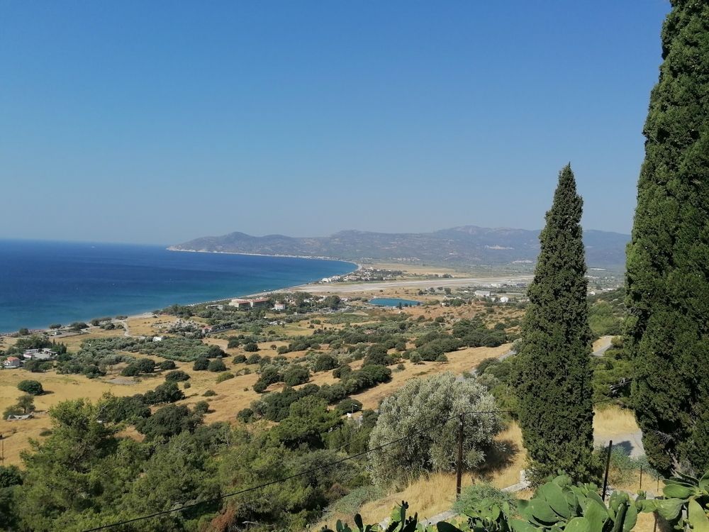 Фотография автора Danica Utjesinovic