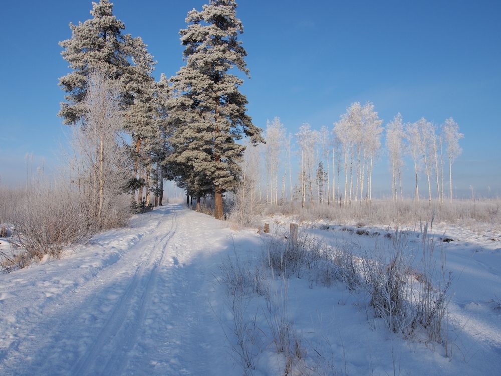 Photograph by Aнтон Мудрилов