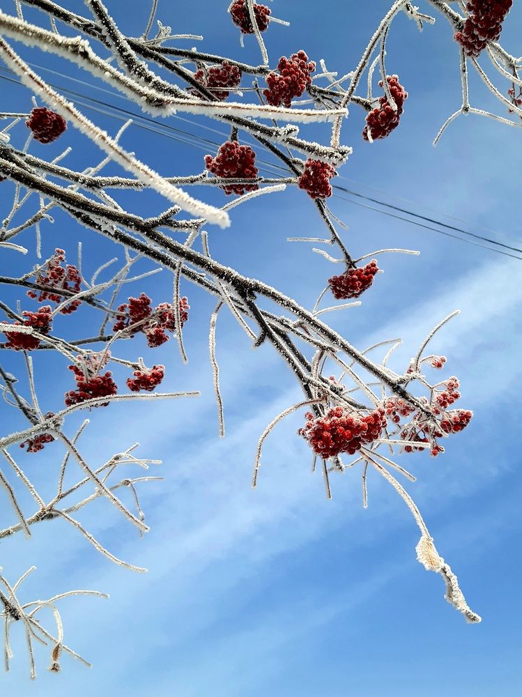Фотография автора Наталья Шендяпина
