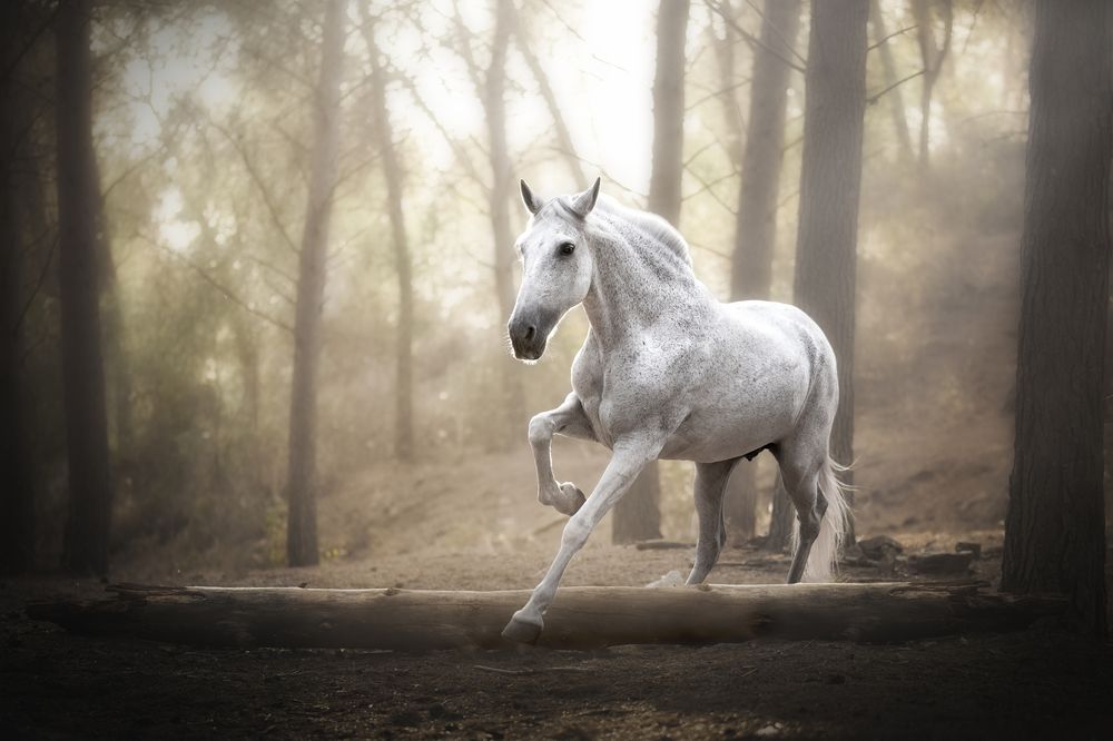 Фотография автора Ana Sánchez