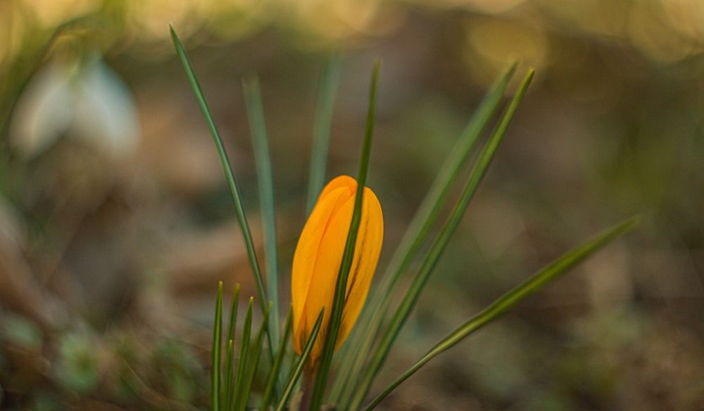 Photograph by Ди Си