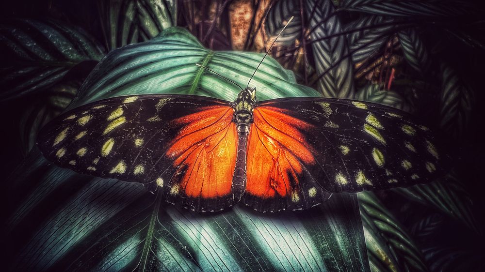 Photograph by Swetlana Lebedev