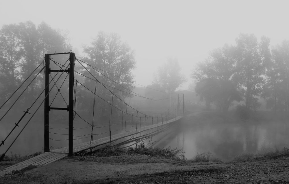 Photograph by Алина