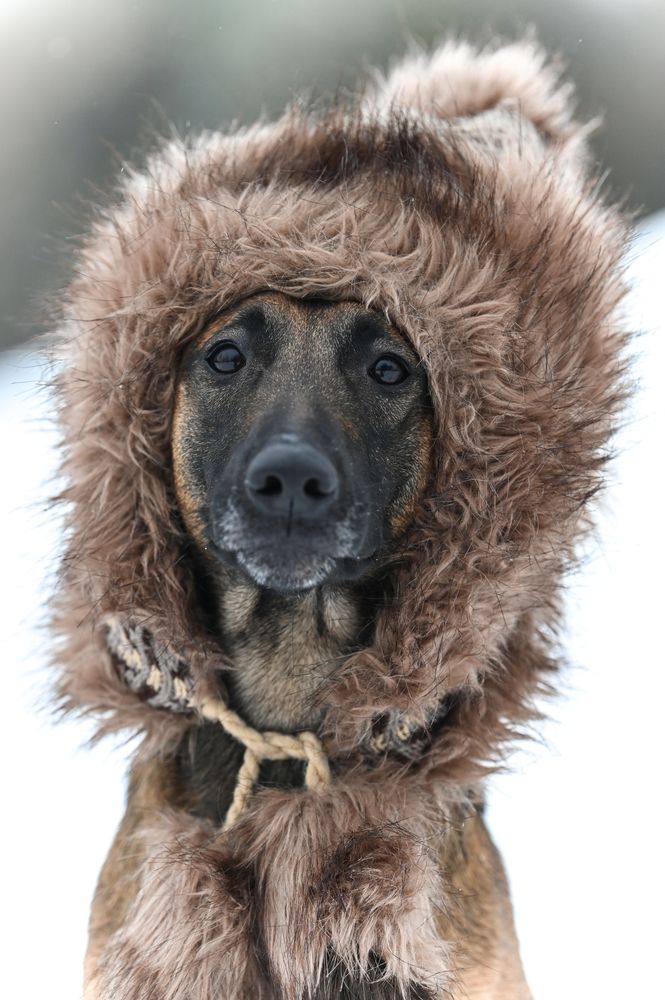 Фотография автора Buzásné Tokodi Tícia