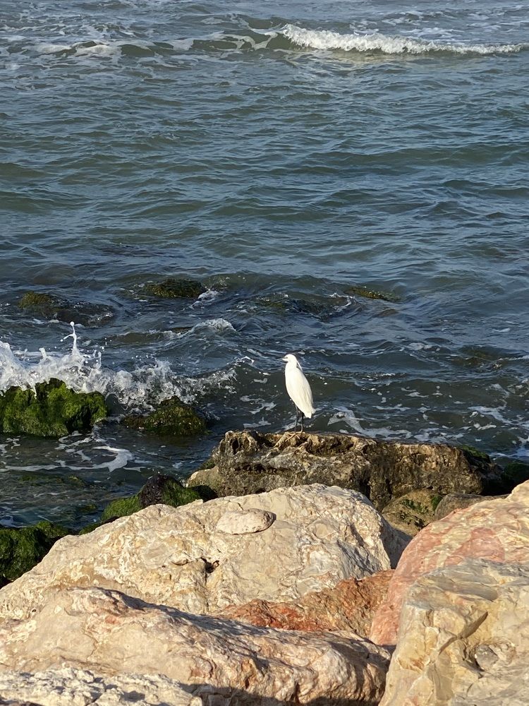 Photograph by Наталья Мутова