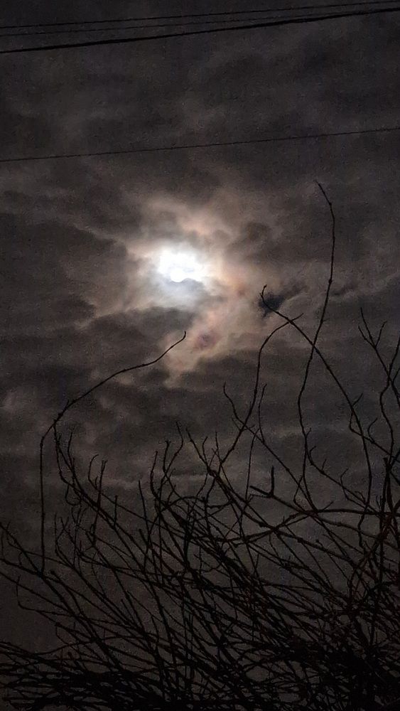 Photograph by Gemelina Opriș