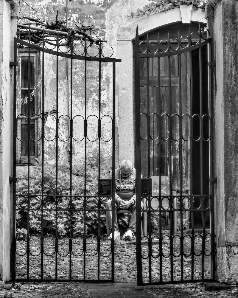 Photograph by Balcetis Audrius