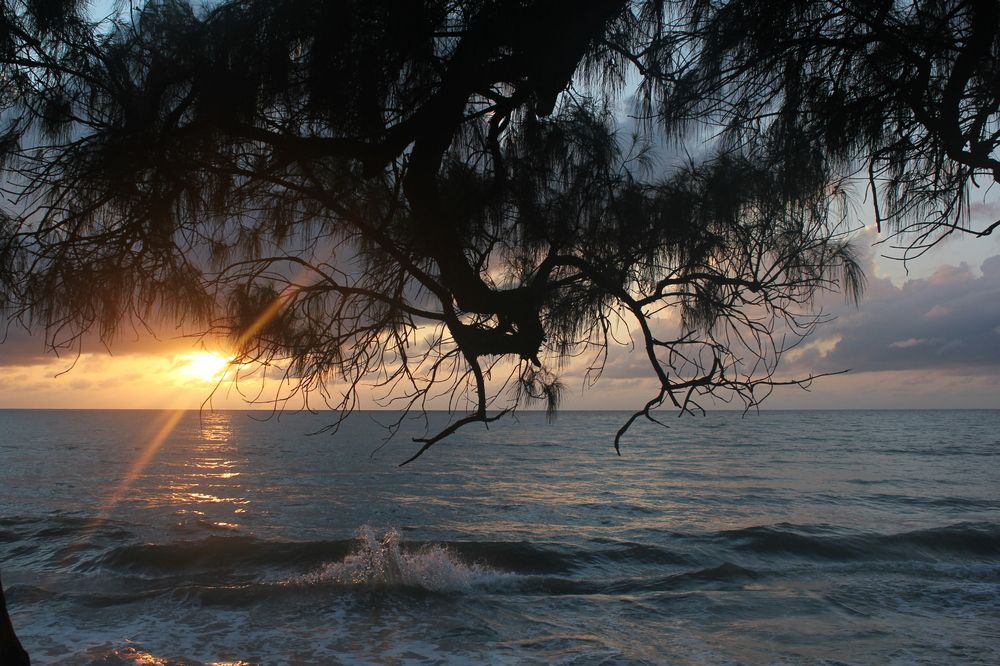 Photograph by CRINALDO REIS