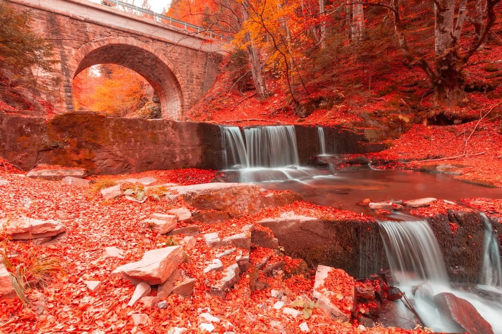 Photograph by Трайко Байко