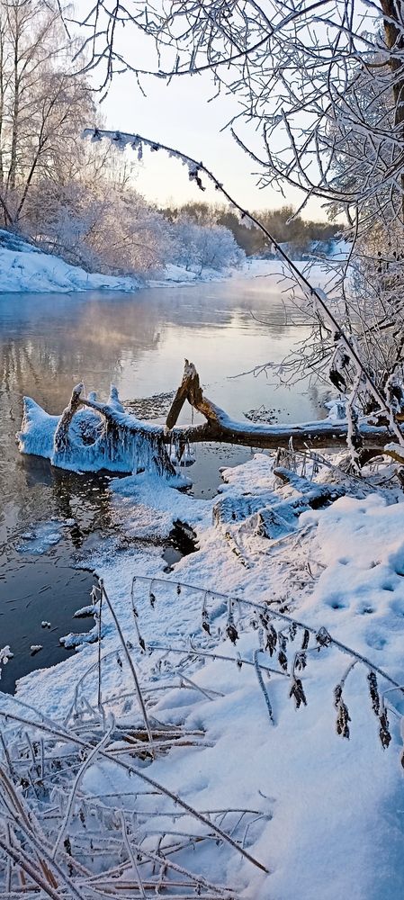 Photograph by Юлия Капица