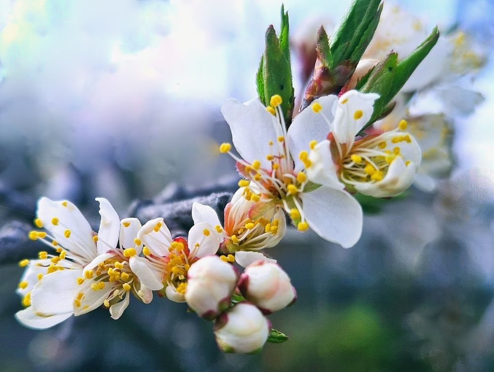 Photograph by Ирина Андриенко