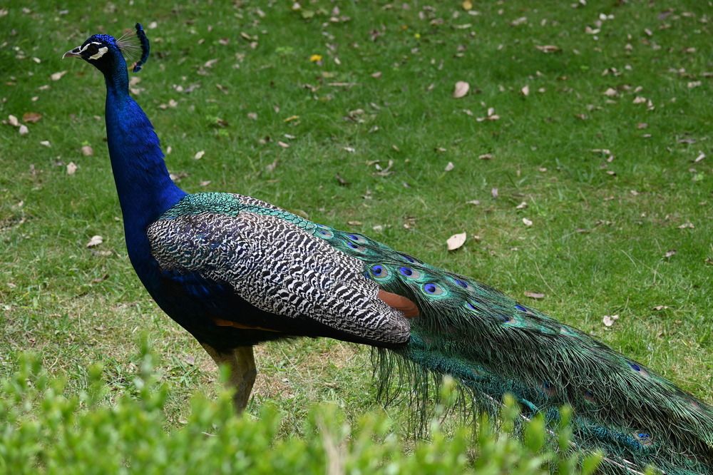 Photograph by Нели Младенова