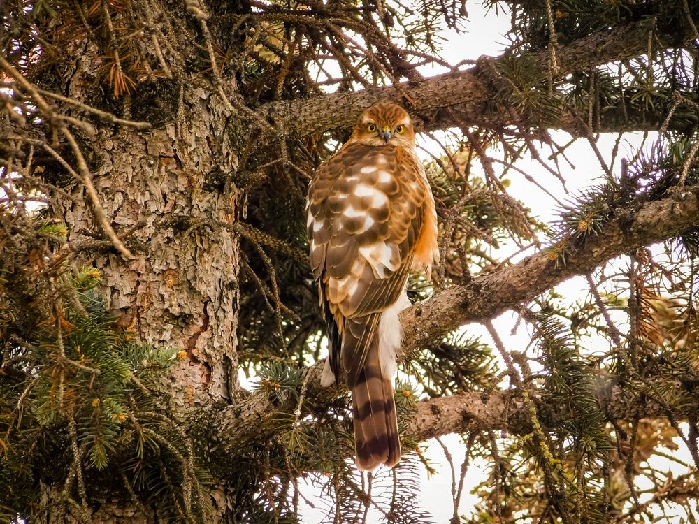 Photograph by Юлия Закопайло
