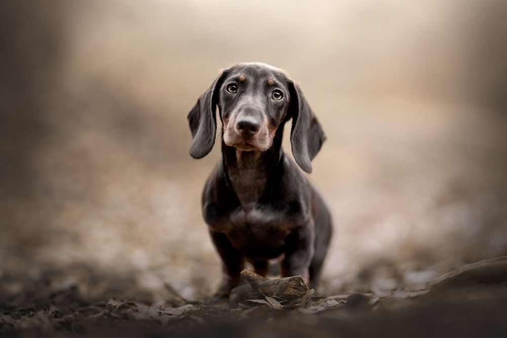 Фотография автора Ana Sánchez