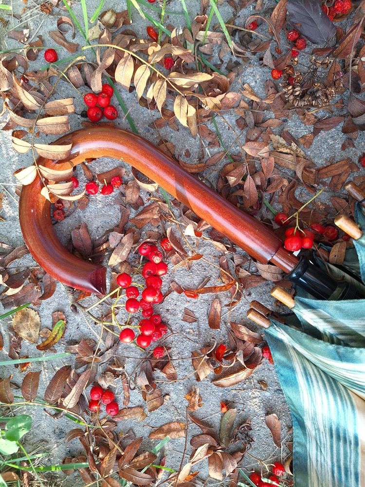 Photograph by Ольга Мольдон