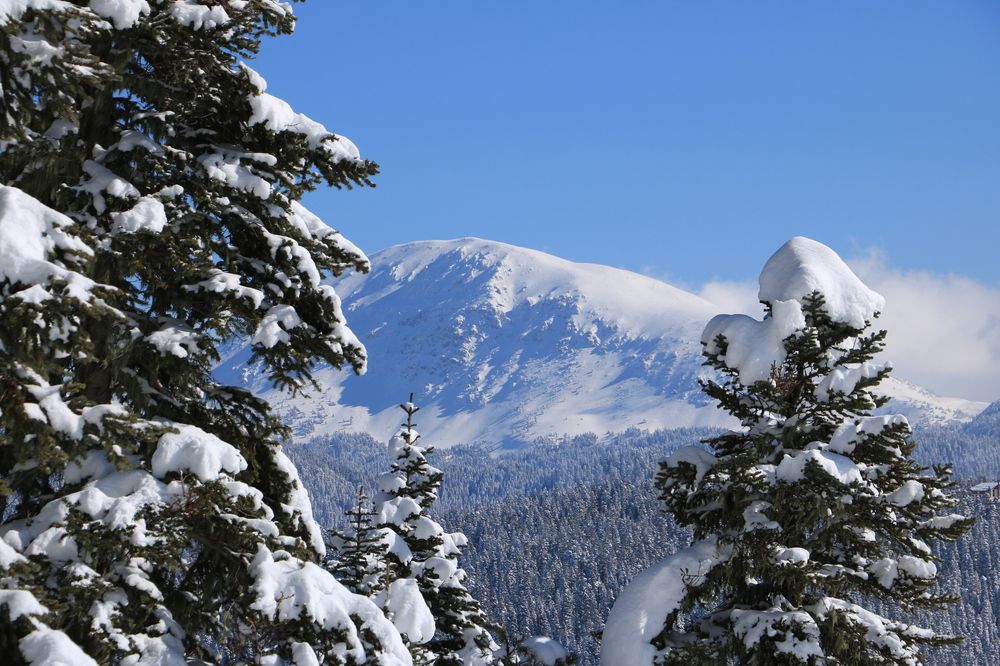 Photograph by Cengiz Yalcin