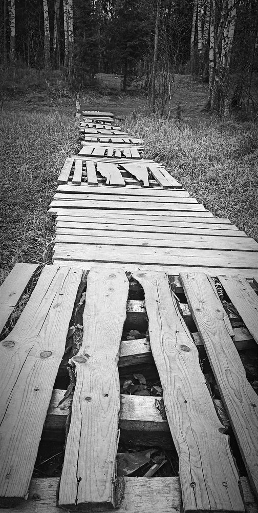 Photograph by Юлия Капица