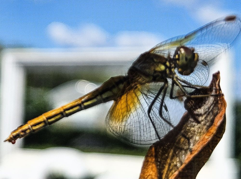 Photograph by Ирина Андриенко