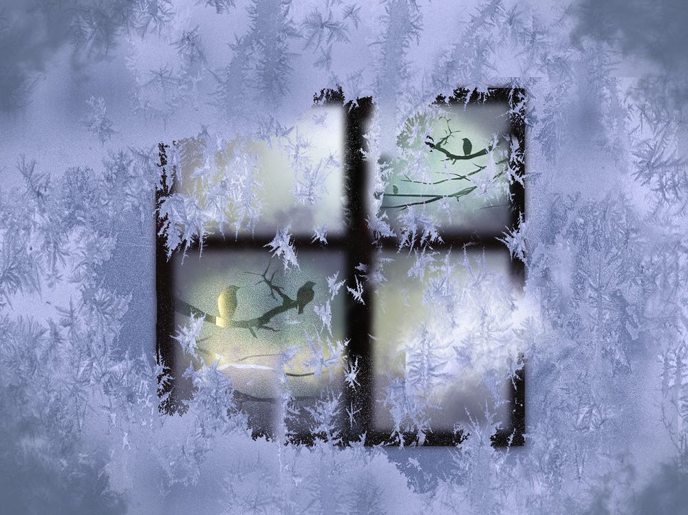 Photograph by T. Bondarenko