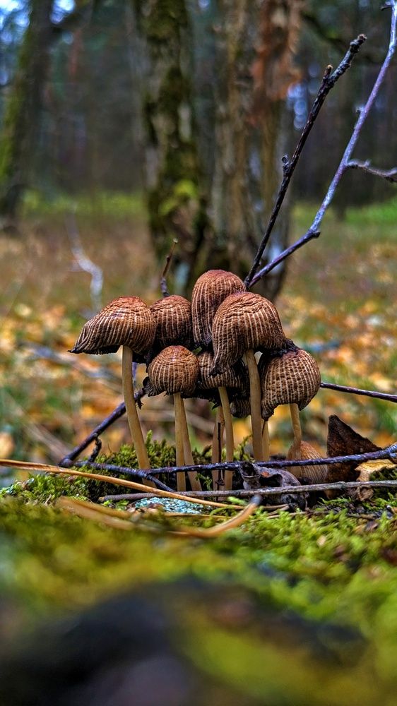 Photograph by Ольга и Андрей Трухан