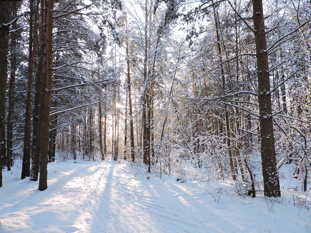 Photograph by Tatiana