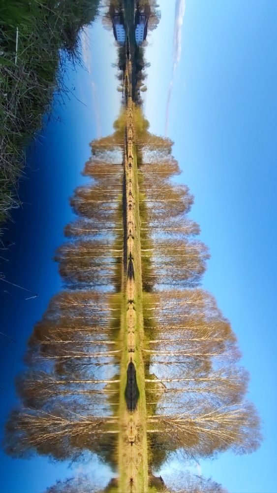 Photograph by Марина Артемьева