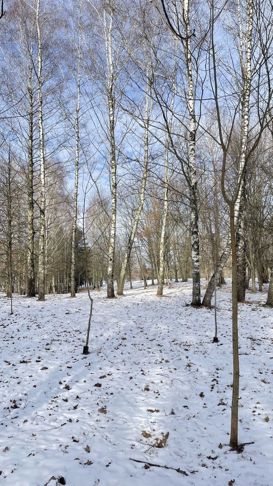 Photograph by Людмила Казак