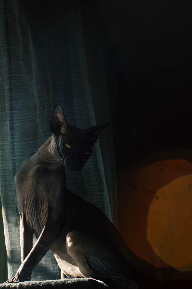 Photograph by Луна Сол