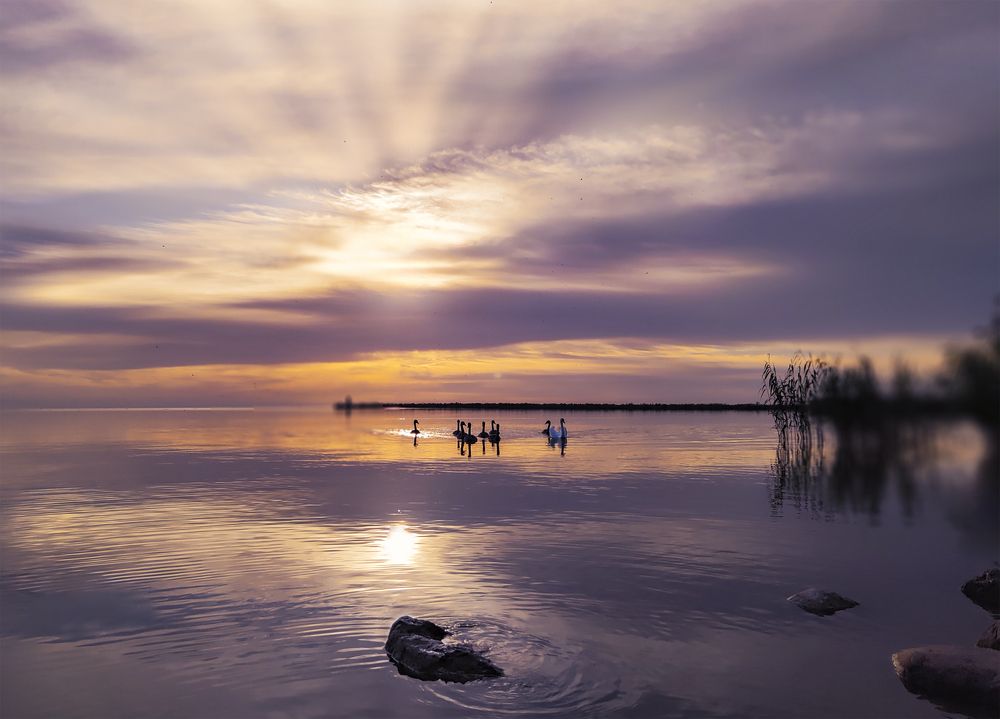 Photograph by Natalia Bolotenkova