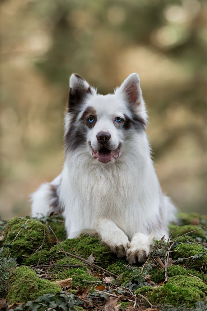 Photograph by Alessio Giuliani