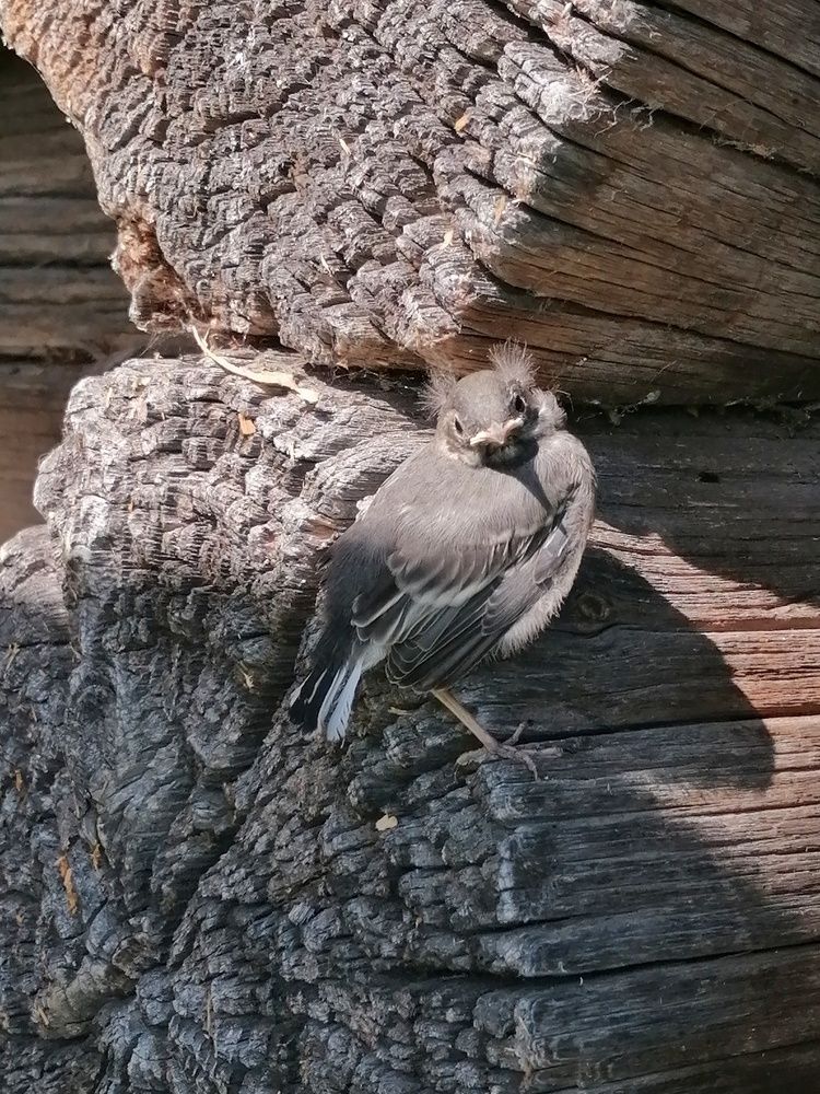 Photograph by Анастасия Широкова