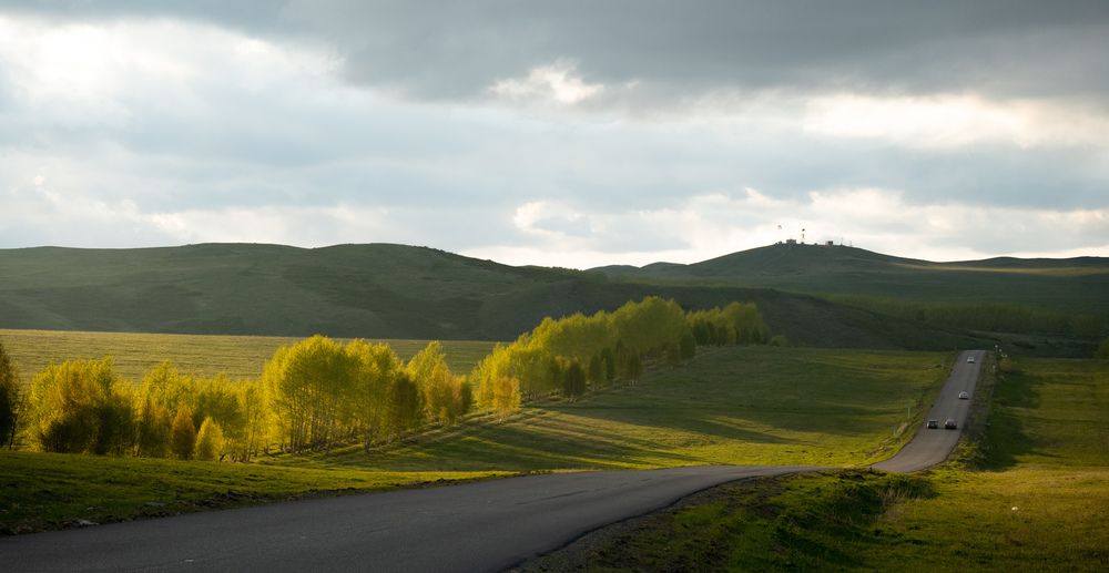 Photograph by Polina Latypova