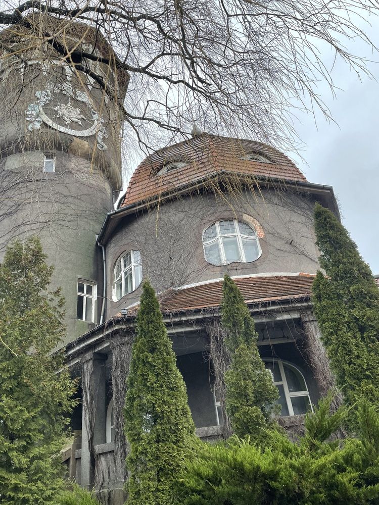 Фотография автора Светлана