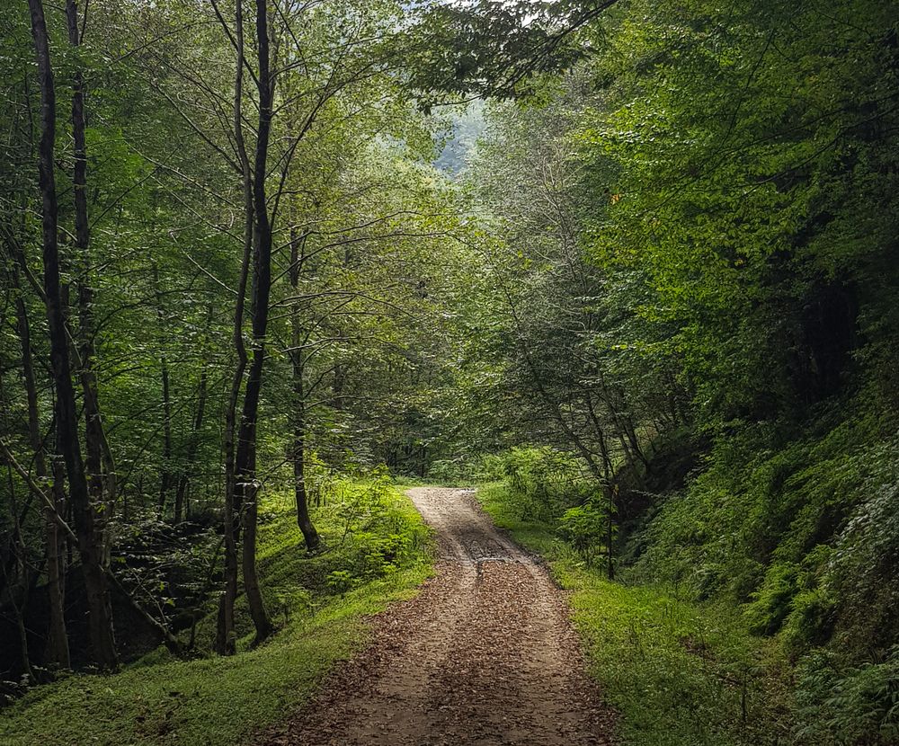 Photograph by amir shadpoor