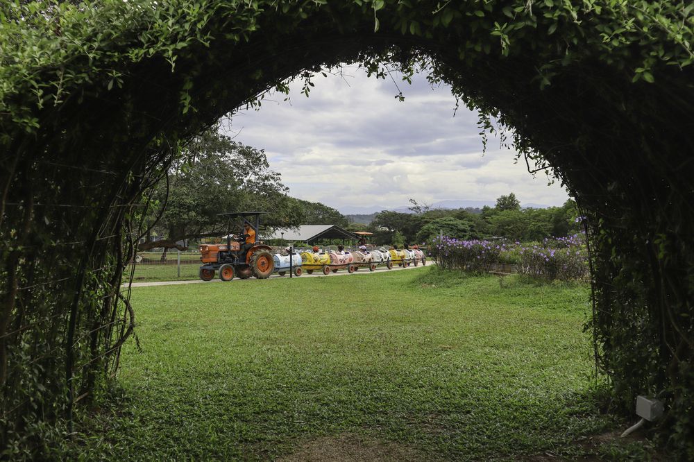 Photograph by Wen Ling Loh