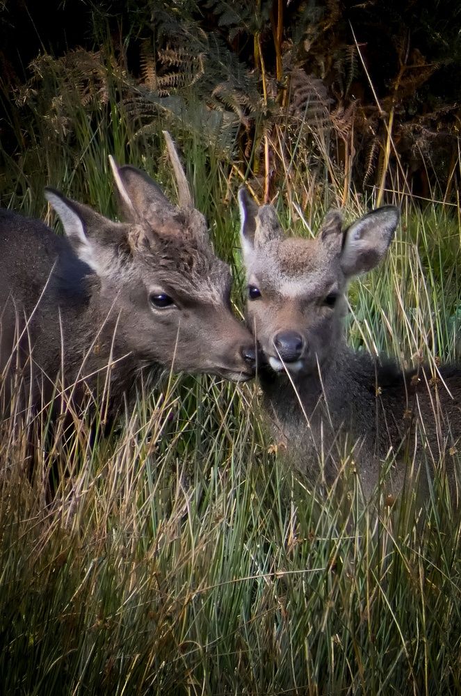 Photograph by Michael Gault