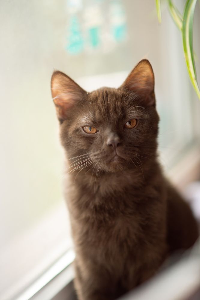 Photograph by Малахова Евгения