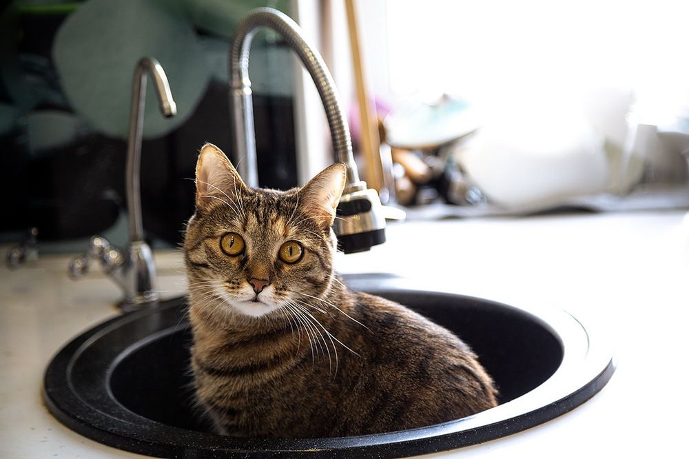 Photograph by Галина Чепиль