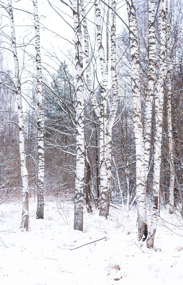 Photograph by Екатерина Климовцева