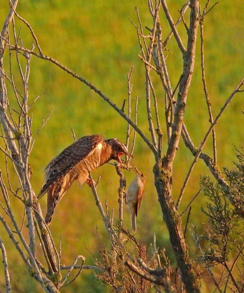 Photograph by Татьяна ТУРСКАЯ
