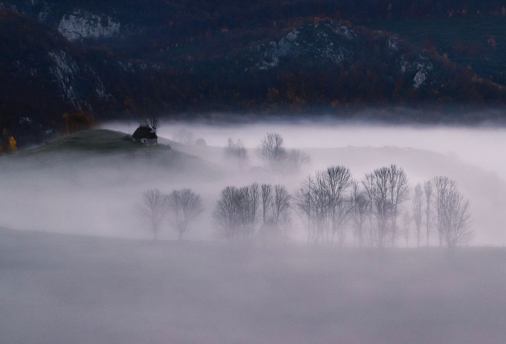 Фотография автора Flegner Calin