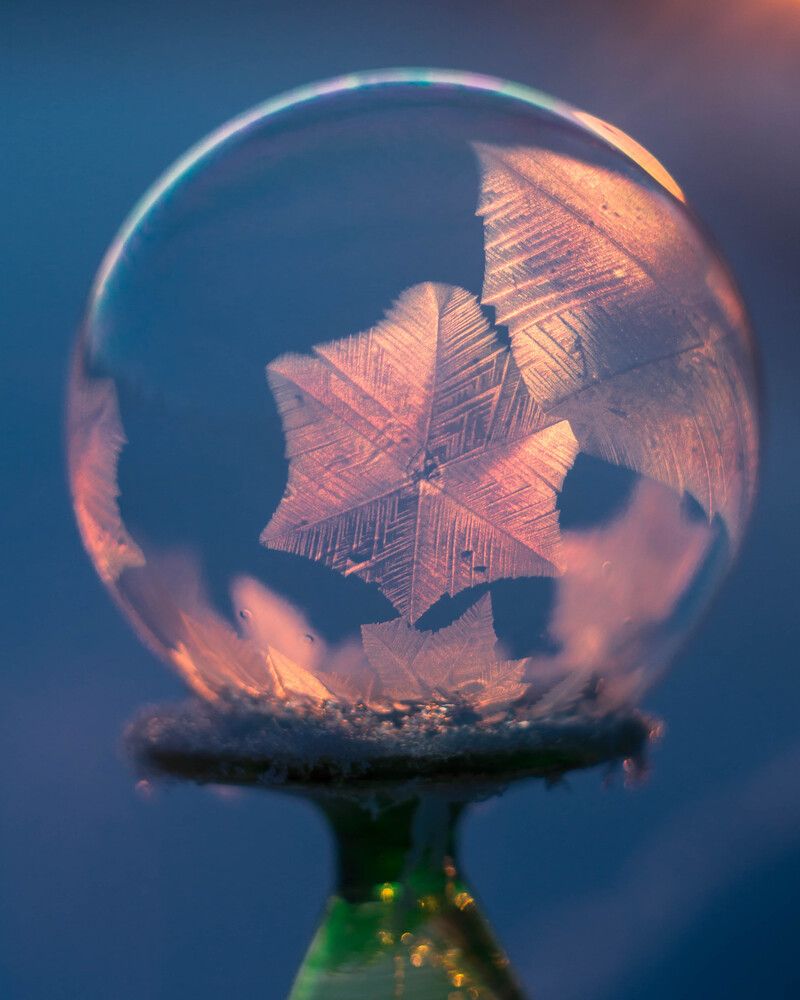 Photograph by Людмила Прибылова