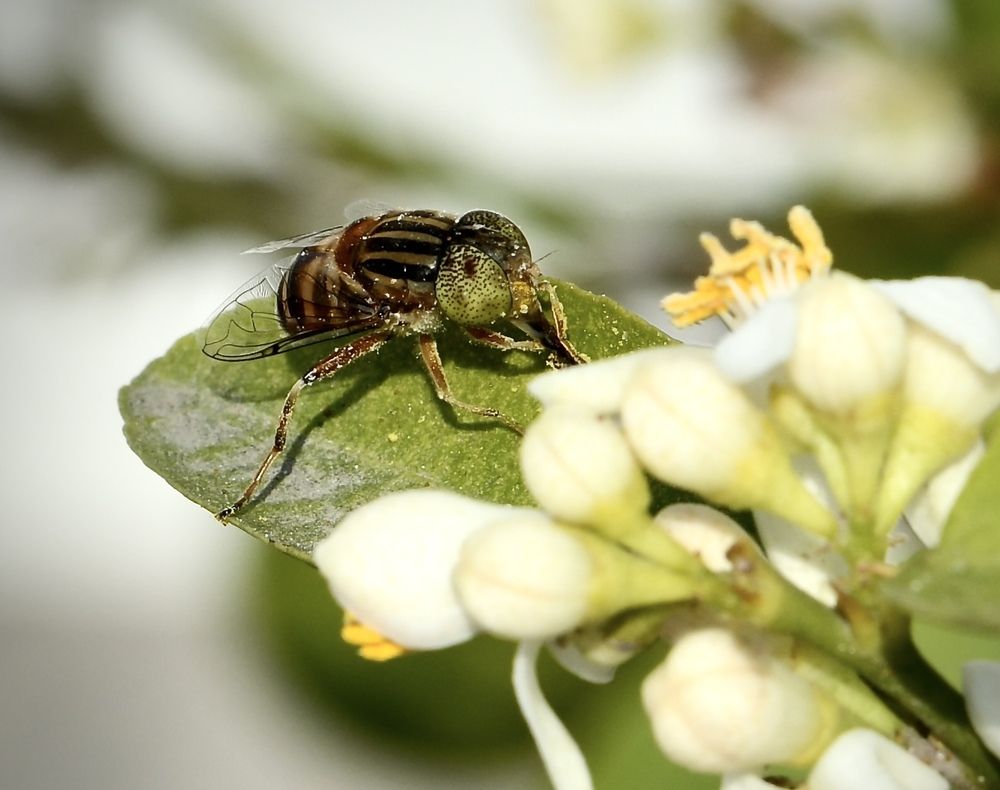Фотография автора Gaurav Khosla