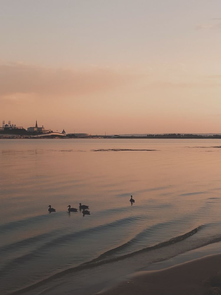 Photograph by Alsu Gimadieva