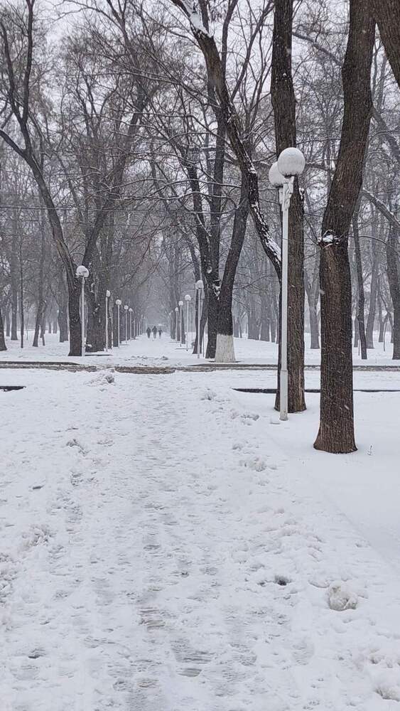 Photograph by Svitlana Usatenko