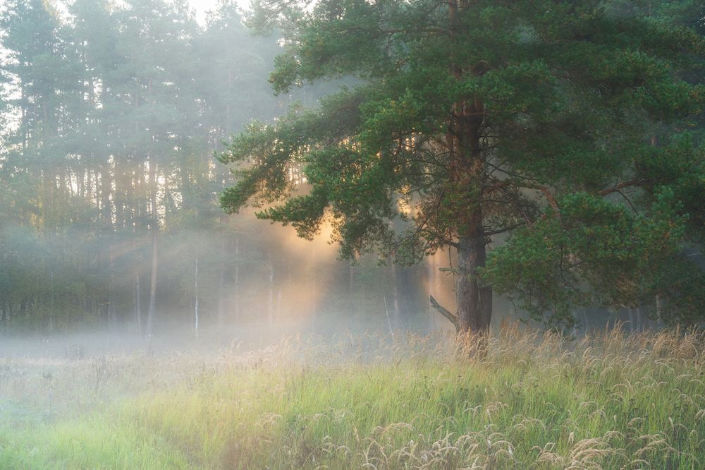 Photograph by Татьяна Юганова