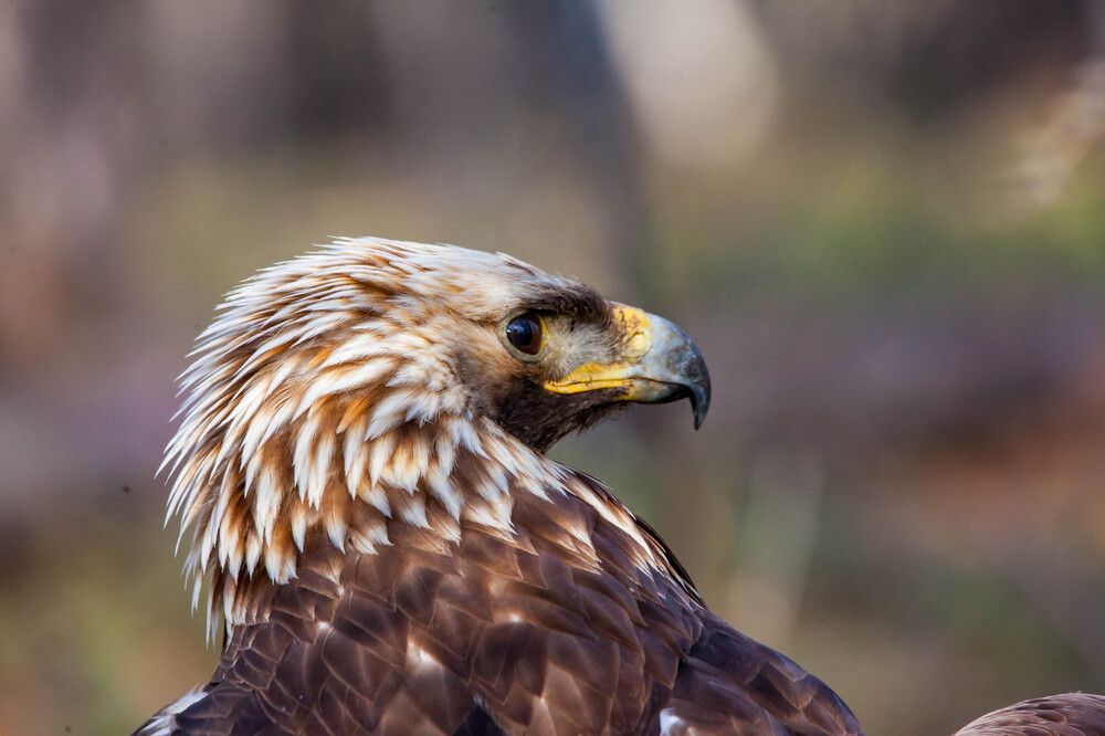 Photograph by Валерий Хоютанов