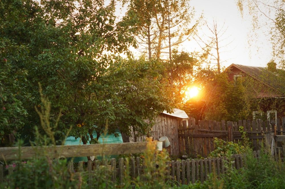 Photograph by Анна Каменева